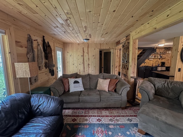 17700 78th St SW, Cokato, MN 55321 - living area with wooden walls and wood ceiling