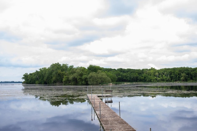 17700 78th St SW, Cokato, MN 55321 - dock with a water view and a wooded view