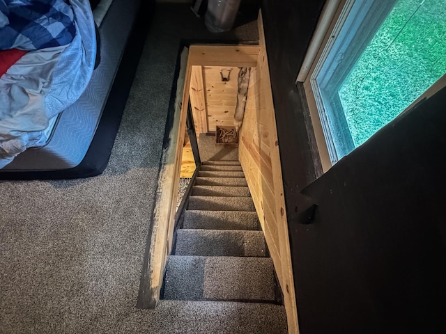 17700 78th St SW, Cokato, MN 55321 - staircase with carpet floors