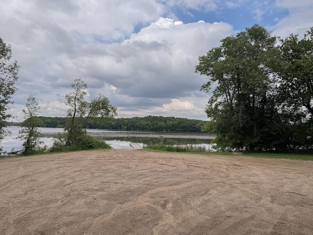 17700 78th St SW, Cokato, MN 55321 - water view