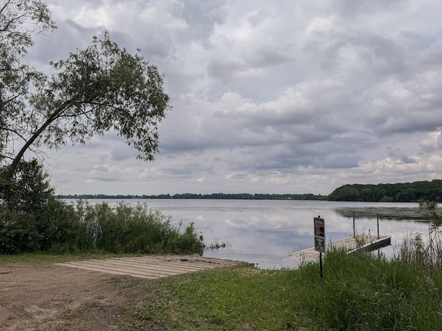 17700 78th St SW, Cokato, MN 55321 - water view
