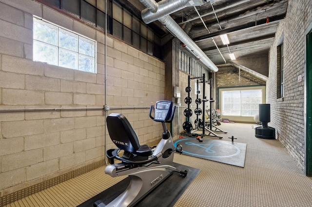 918 3rd St N Unit 210, Minneapolis, MN 55401 - exercise area with healthy amount of natural light and carpet flooring