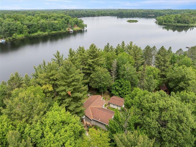 33277 308th Ln, Aitkin, MN 56431 - drone / aerial view of a heavily wooded area and a nearby body of water