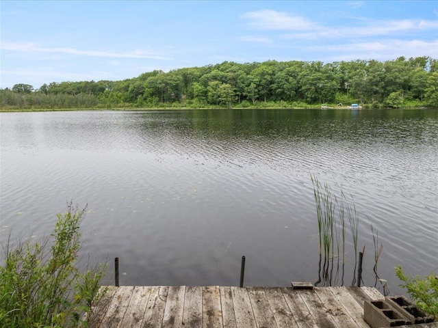 33277 308th Ln, Aitkin, MN 56431 - dock featuring a water view