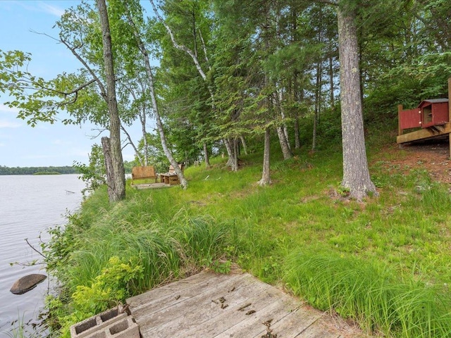 33277 308th Ln, Aitkin, MN 56431 - view of yard with a water view