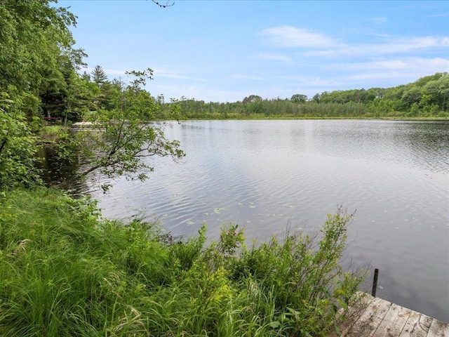 33277 308th Ln, Aitkin, MN 56431 - water view featuring a heavily wooded area and a boat dock