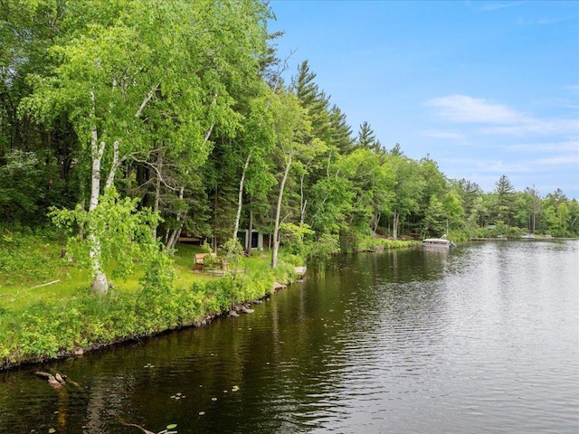 33277 308th Ln, Aitkin, MN 56431 - water view with a forest