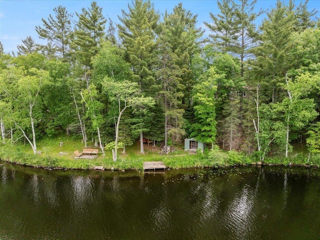 33277 308th Ln, Aitkin, MN 56431 - water view with a heavily wooded area