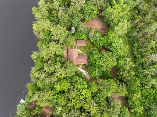 33277 308th Ln, Aitkin, MN 56431 - drone / aerial view