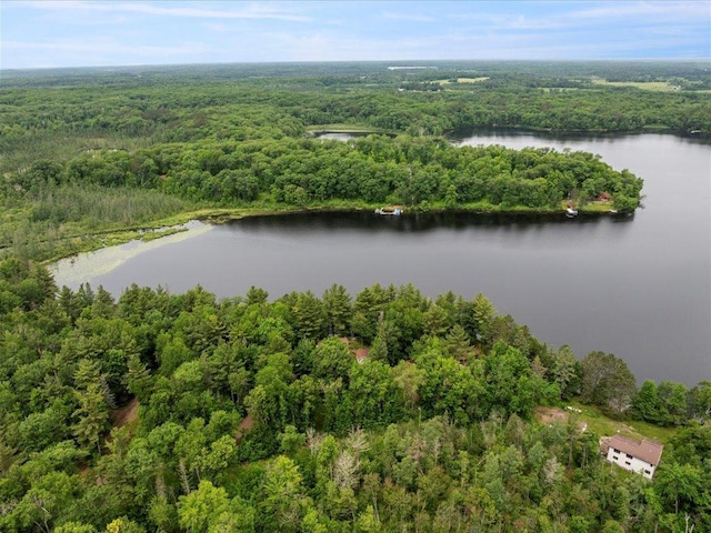 33277 308th Ln, Aitkin, MN 56431 - aerial view of a forest and a nearby body of water