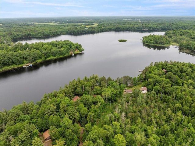 33277 308th Ln, Aitkin, MN 56431 - bird's eye view of a forest and a nearby body of water