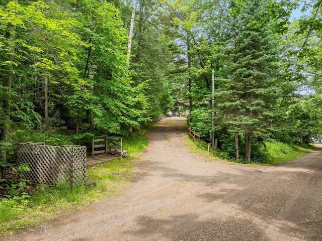 33277 308th Ln, Aitkin, MN 56431 - view of dirt / gravel driveway featuring a forest view