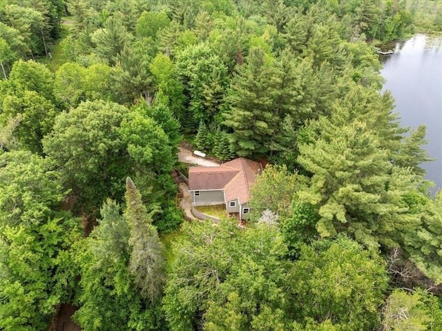 33277 308th Ln, Aitkin, MN 56431 - view from above of property with a large body of water and a heavily wooded area
