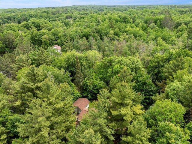 33277 308th Ln, Aitkin, MN 56431 - view of subject property featuring a forest