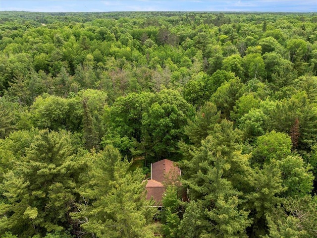 33277 308th Ln, Aitkin, MN 56431 - view from above of property featuring a forest