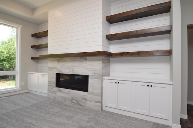 21705 Willys St NE, East Bethel, MN 55011 - detailed view of carpet and a fireplace