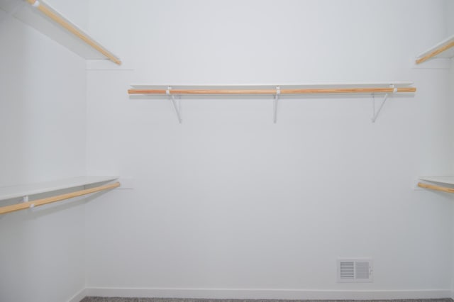 21705 Willys St NE, East Bethel, MN 55011 - walk in closet featuring carpet