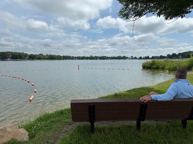 2161 Cardinal Ln, Mound, MN 55364 - water view