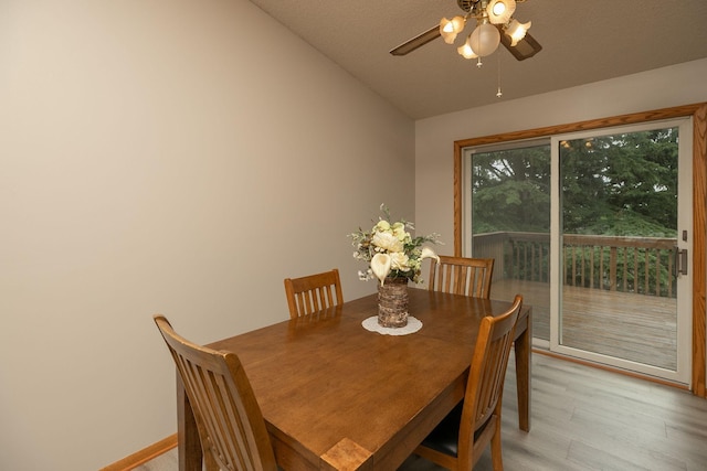 3726 11th Ave SW, Rochester, MN 55902 - photo 8
