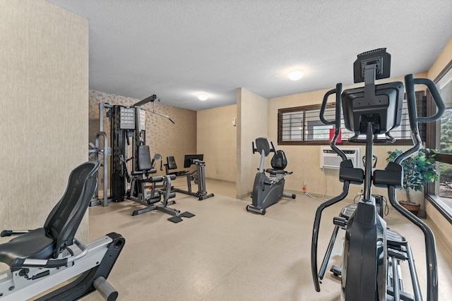 2485 Canabury Dr Unit 112, Little Canada, MN 55117 - workout area featuring plenty of natural light, a textured ceiling, and a wall mounted air conditioner