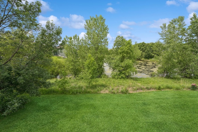 880 Drew Dr, Woodbury, MN 55129 - photo 50