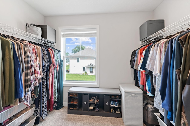 7237 Ada Dr, Lino Lakes, MN 55038 - spacious closet with carpet