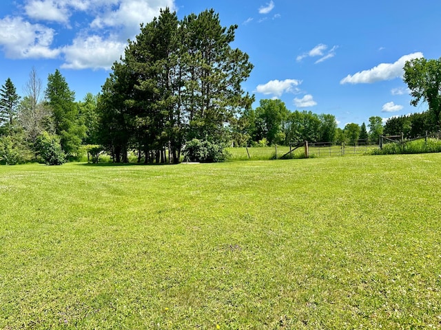 16033 Popplewood Rd NE, Hines Twp, MN 56647 - view of yard