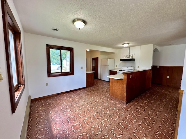 16033 Popplewood Rd NE, Hines Twp, MN 56647 - kitchen featuring white appliances, a peninsula, a textured ceiling, light countertops, and ventilation hood