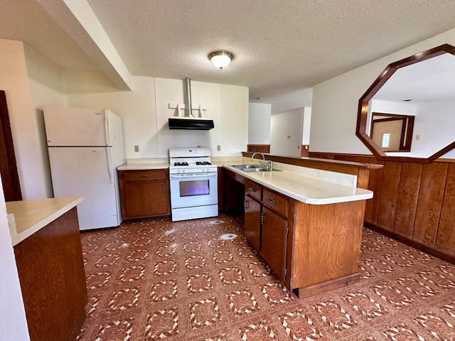 16033 Popplewood Rd NE, Hines Twp, MN 56647 - kitchen featuring white appliances, under cabinet range hood, a peninsula, light countertops, and brown cabinetry