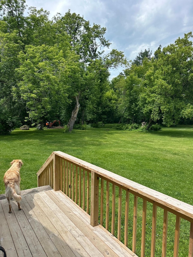 1374 State Highway 11 SE, Baudette, MN 56623 - deck featuring a yard