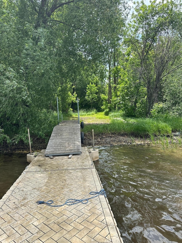 1374 State Highway 11 SE, Baudette, MN 56623 - dock with a water view