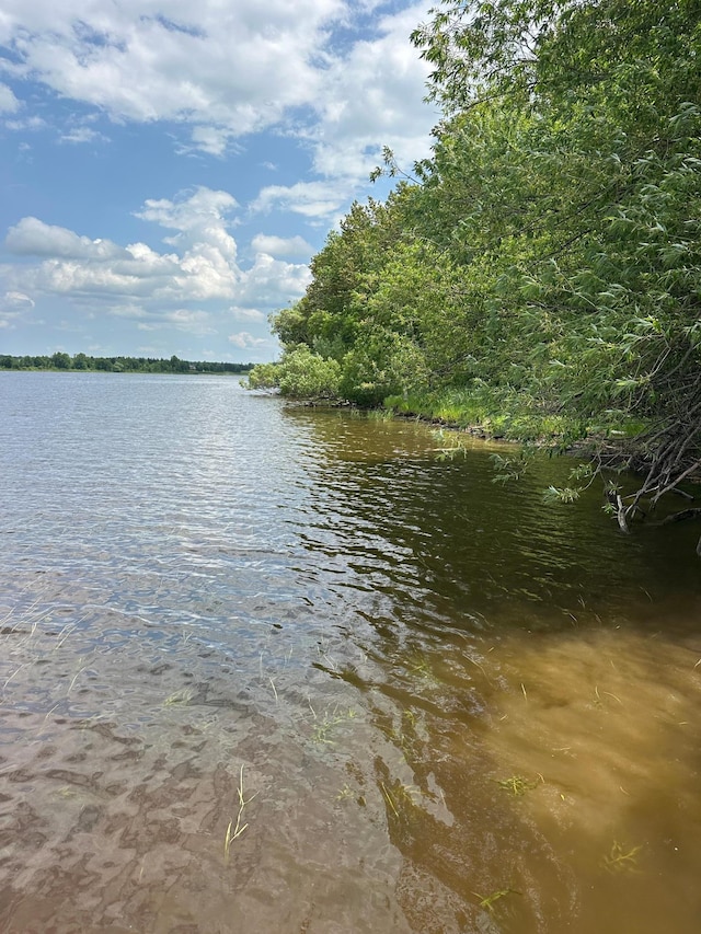 1374 State Highway 11 SE, Baudette, MN 56623 - water view