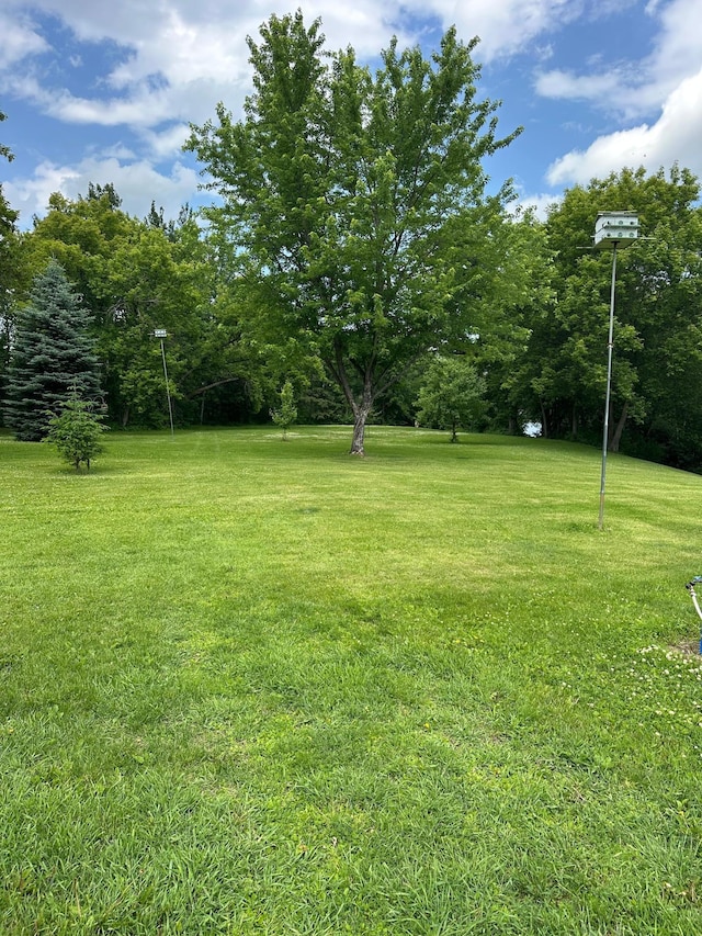 1374 State Highway 11 SE, Baudette, MN 56623 - view of grassy yard