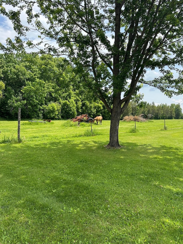 1374 State Highway 11 SE, Baudette, MN 56623 - view of green lawn