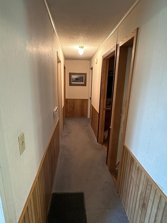 1374 State Highway 11 SE, Baudette, MN 56623 - hall featuring a textured ceiling, ornamental molding, light colored carpet, and wainscoting