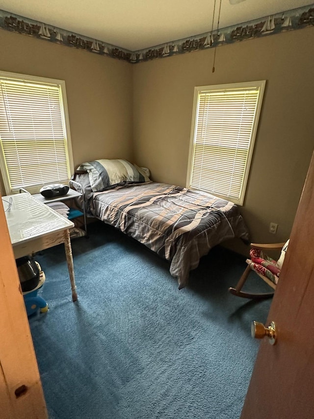 1374 State Highway 11 SE, Baudette, MN 56623 - bedroom with carpet
