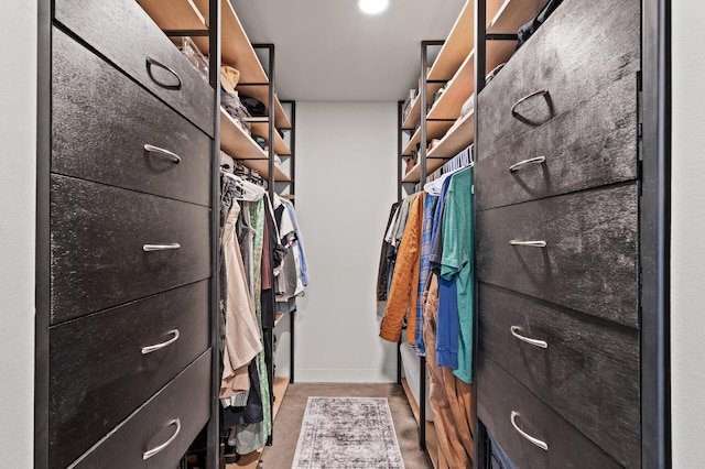 730 Stinson Blvd Unit 504, Minneapolis, MN 55413 - view of spacious closet