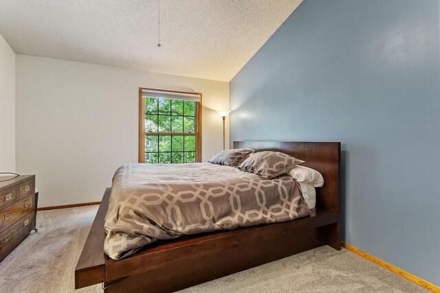 16503 Biscayne Blvd, Eden Prairie, MN 55347 - bedroom featuring carpet, lofted ceiling, and a textured ceiling