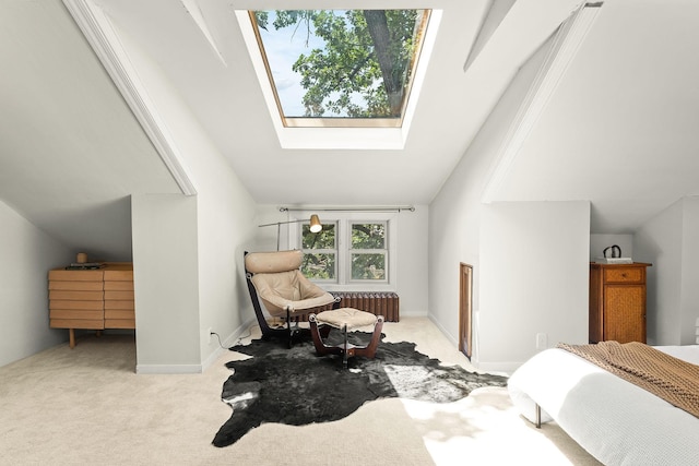 784 Fairview Ave N, Saint Paul, MN 55104 - carpeted bedroom featuring radiator heating unit and a skylight