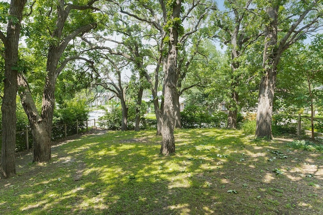 784 Fairview Ave N, Saint Paul, MN 55104 - view of yard