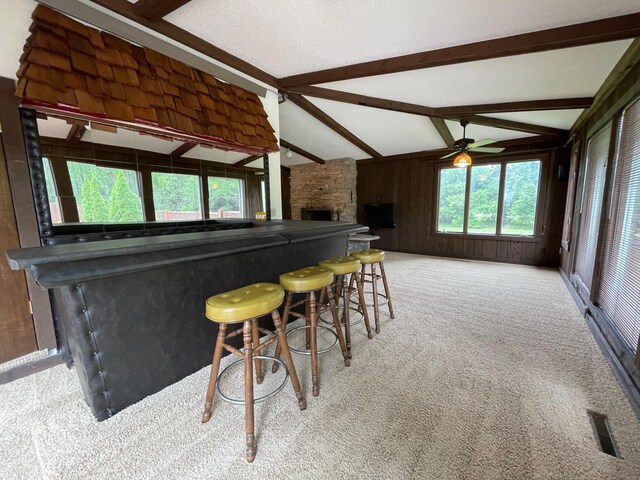 71598 State Highway 56, Hayfield Twp, MN 55940 - photo 13
