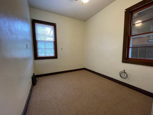 71598 State Highway 56, Hayfield Twp, MN 55940 - photo 15