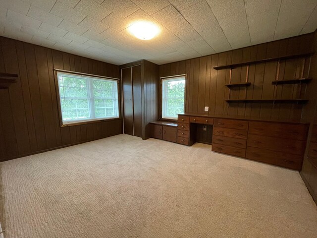 71598 State Highway 56, Hayfield Twp, MN 55940 - photo 17