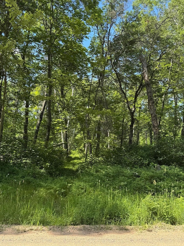 TBD Blue Ridge Dr, Breezy Point, MN 56472