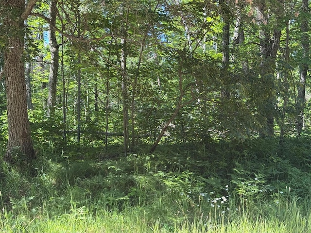 TBD Blue Ridge Dr, Breezy Point, MN 56472