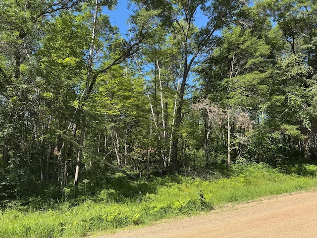 TBD Blue Ridge Dr, Breezy Point, MN 56472