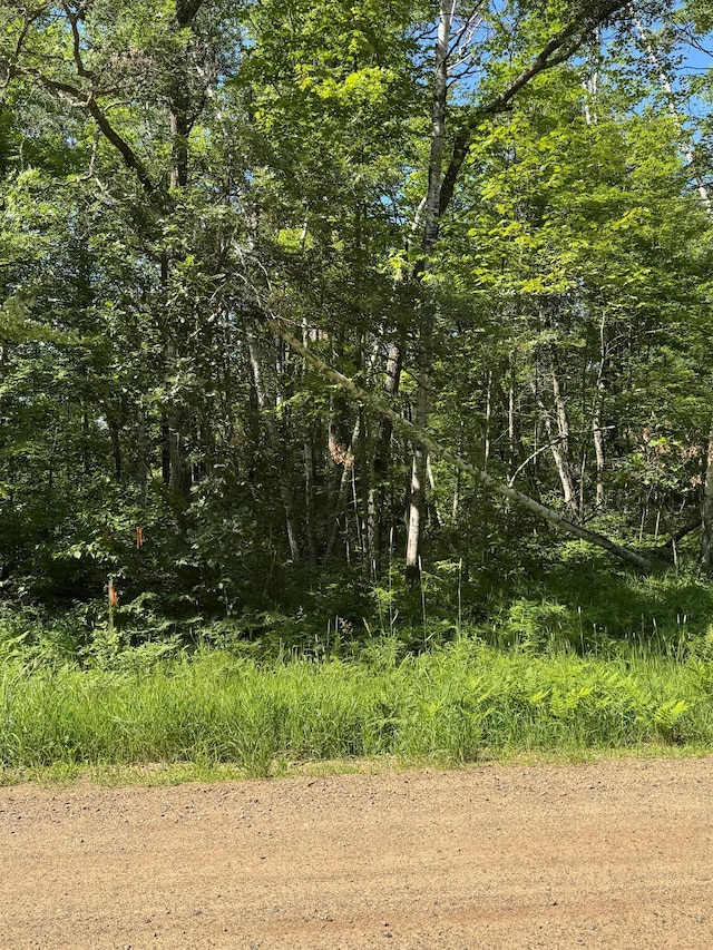 TBD Blue Ridge Dr, Breezy Point, MN 56472