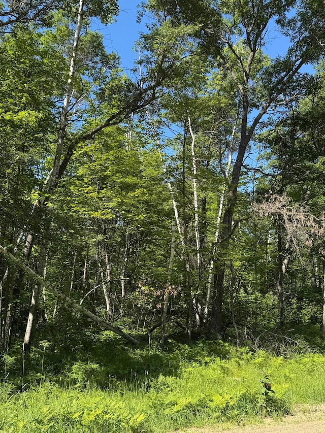 TBD Blue Ridge Dr, Breezy Point, MN 56472
