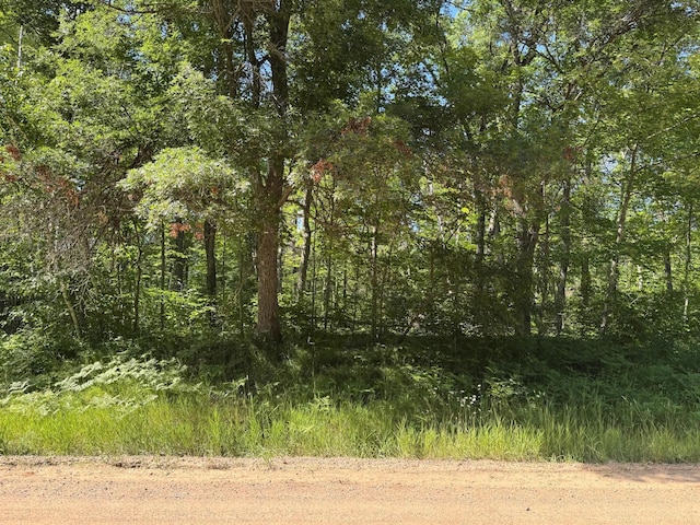 TBD Blue Ridge Dr, Breezy Point, MN 56472