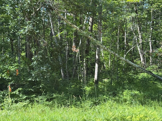 TBD Blue Ridge Dr, Breezy Point, MN 56472